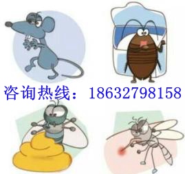 沧州***灭老鼠，灭蟑螂，灭蚊蝇，灭蚂蚁灭臭虫等各种害虫