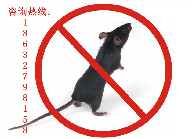 沧州***除虫公司、灭老鼠、灭蟑螂、除四害、灭蚊蝇跳蚤