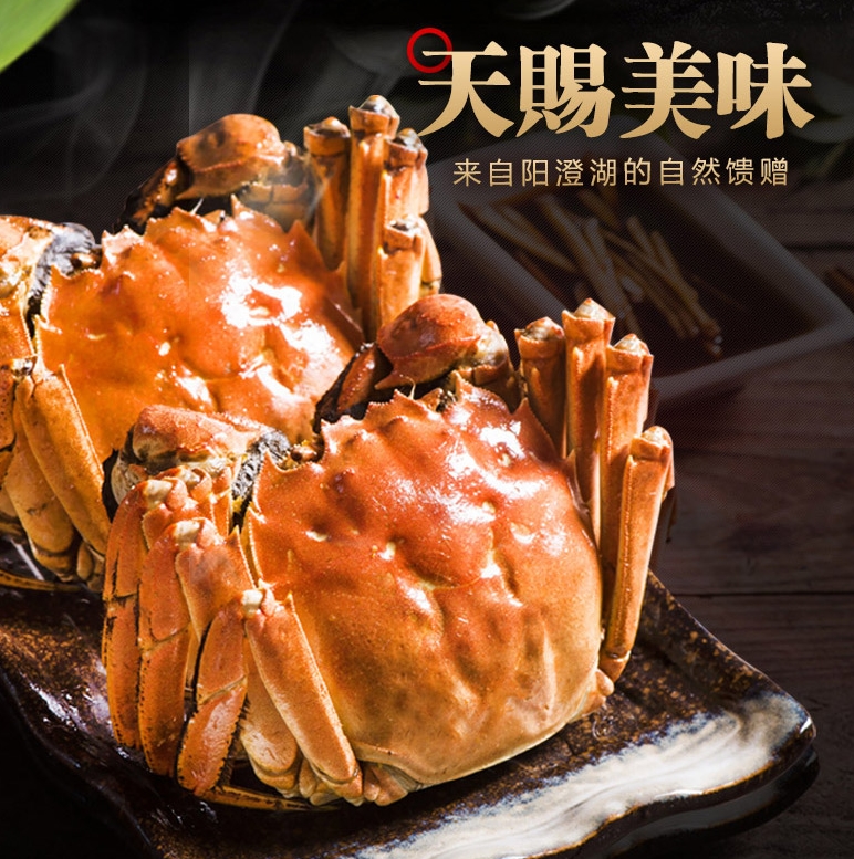 合肥阳澄湖大闸蟹团购及卡券批发-合肥阳澄湖大闸蟹专卖店