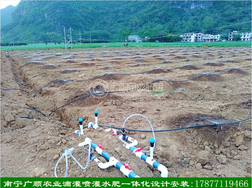 广西施肥器 南宁施肥泵 滴灌水肥机