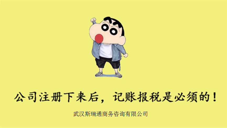 武昌代账公司_***服务方案_武昌代理记账