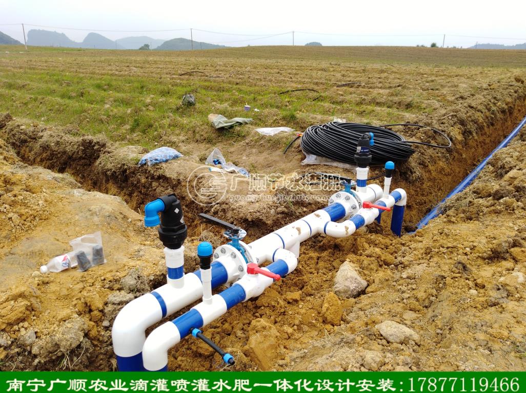 广西来宾市滴灌主管分管设计分区灌溉