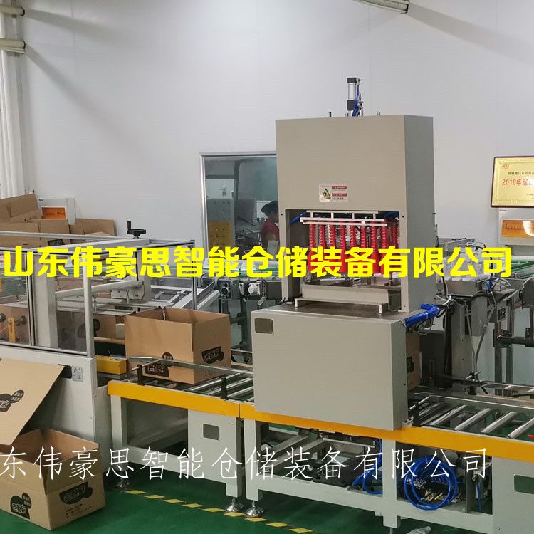 全自动装箱码垛系统 箱料全自动装箱机