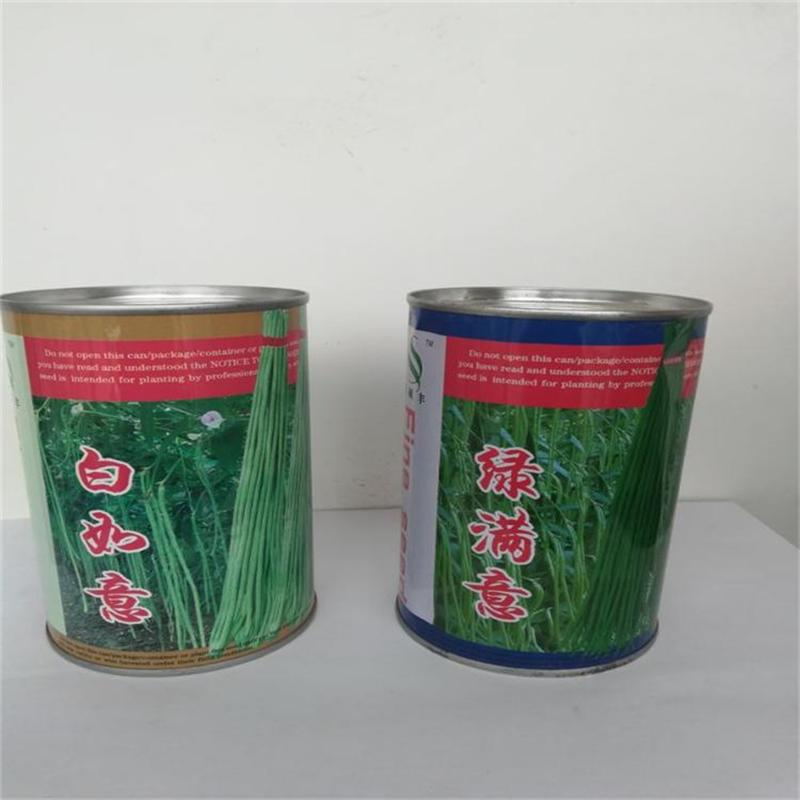 特长豆角种子能长一米的豆角种子新品种