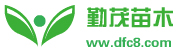 东台市新街镇勤茂园林苗木园