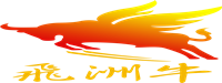 深圳市飞州牛实业有限公司