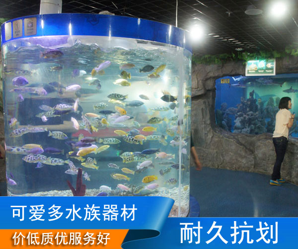 合肥鱼缸定做找哪家