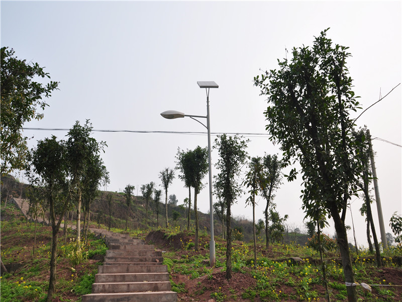 邹平县太阳能路灯***格-太阳能路灯厂家电话