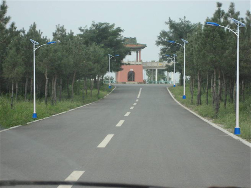 福州太阳能路灯***厂家-太阳能路灯安装价格