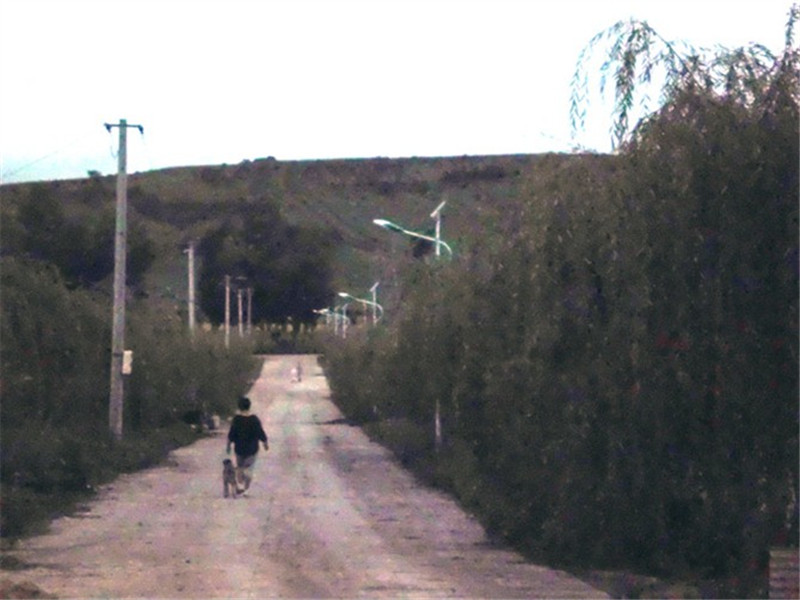 红岗太阳能路灯***格-太阳能路灯厂家电话