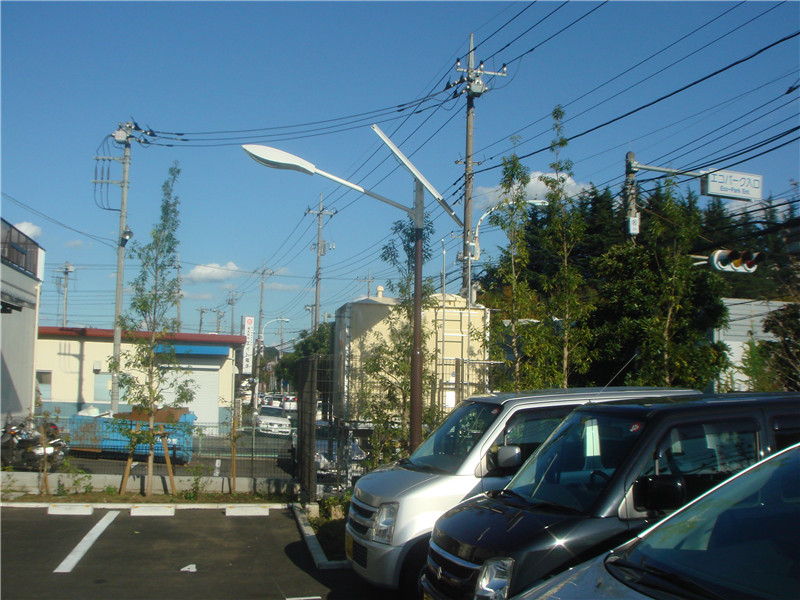 凤冈县太阳能路灯***厂家-太阳能路灯安装价格