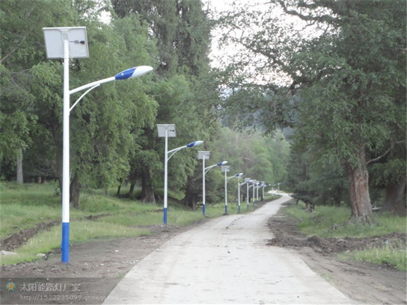 桃城太阳能路灯***厂家-太阳能路灯安装价格