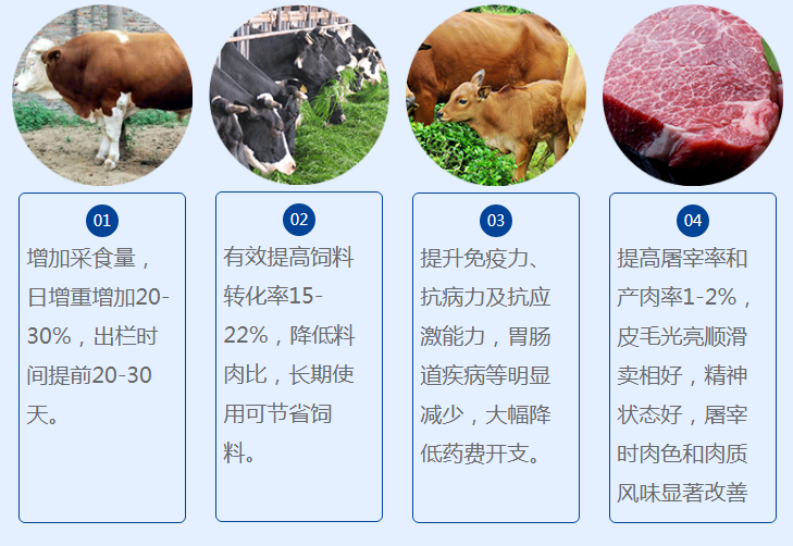 育肥牛催肥剂厂家***羊催肥什么药好