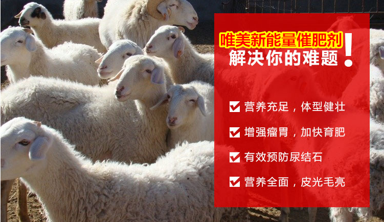 牛催肥剂一招见效厂家***火的牛羊添加剂