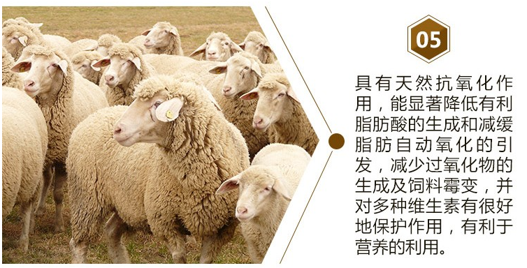 肉牛催肥剂小料厂家***火的牛羊添加剂