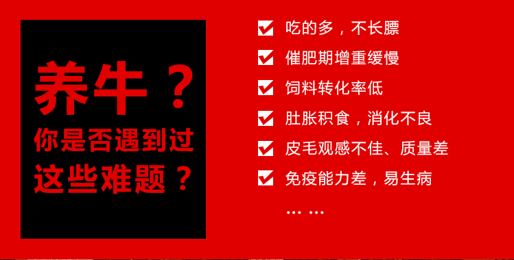 肉牛催肥剂小料厂家***的牛羊添加剂