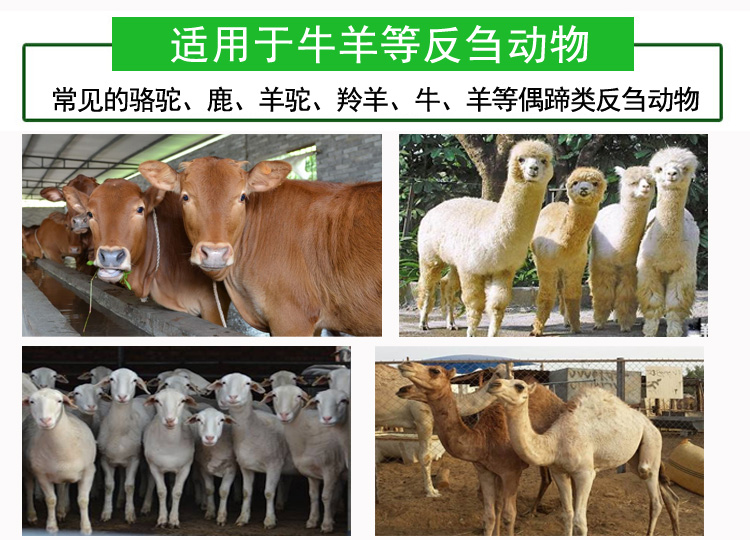 育肥牛催肥剂全国包邮牛羊短期催肥添加剂