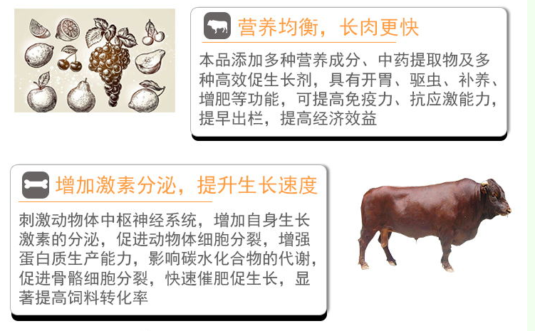 肉牛添加剂厂家***羊吃猪饲料长得快吗
