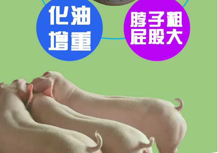 育肥牛催肥剂全国包邮牛羊短期催肥添加剂