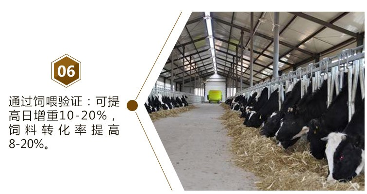 肉牛催肥剂小料厂家***火的牛羊添加剂