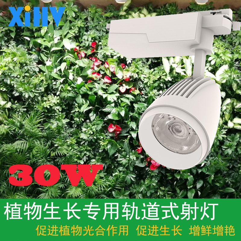 植物墙雨淋缸绿植鲜花补光灯全光谱LED植物生长灯