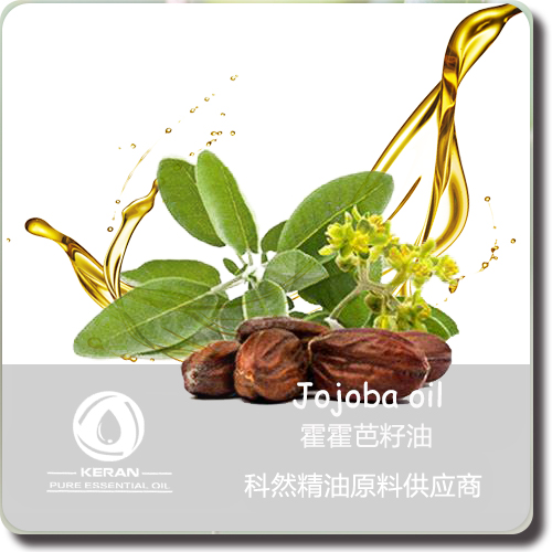 有机冷榨荷荷芭油 无色荷荷芭油 荷荷芭油供应商