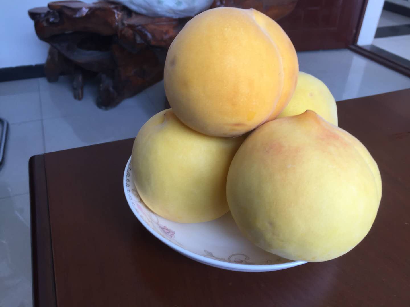 天门黄桃苗价格_黄桃树苗种植技术