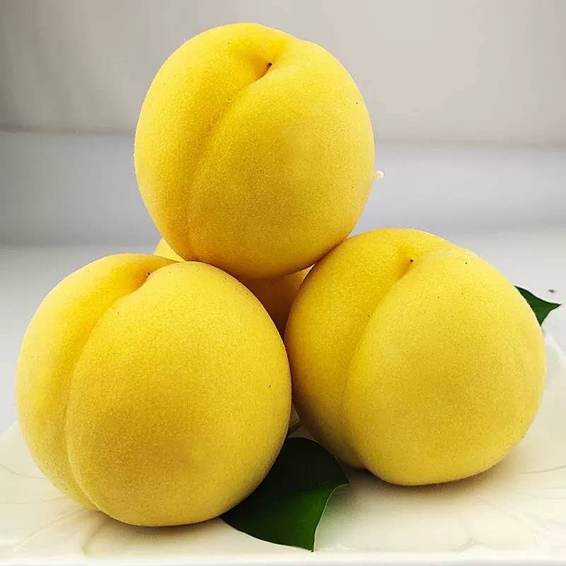 孝感黄桃苗价格_黄桃树苗厂家***价格