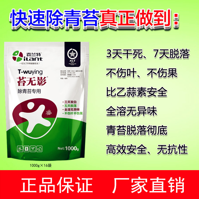 柑橘果树青苔怎么清除喜兰特苔无影快速除青苔药代替乙蒜素无臭味