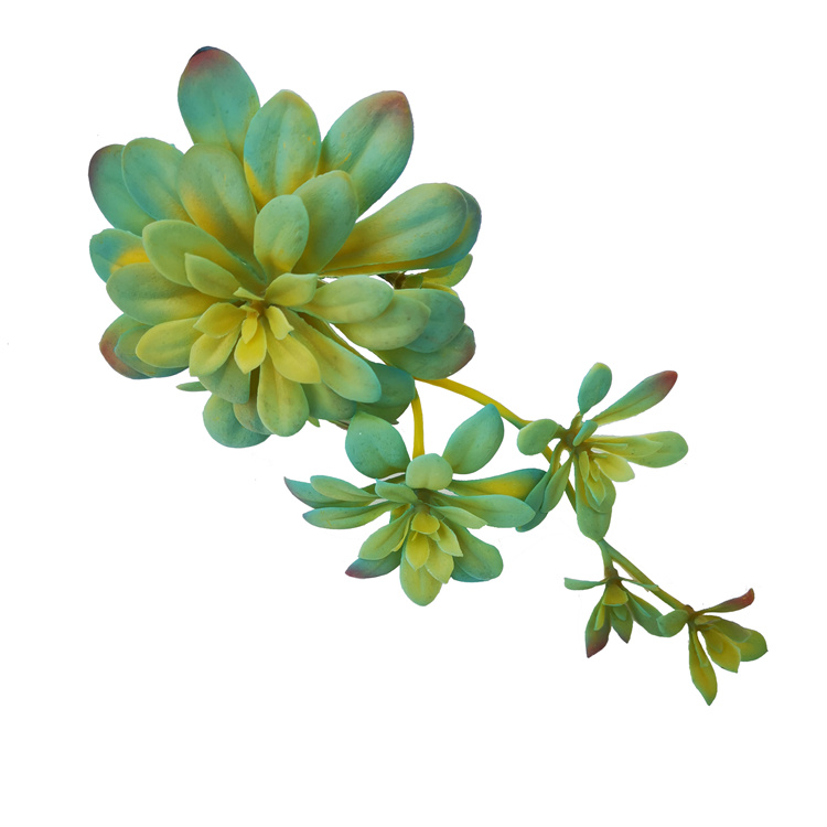 仿真多肉植物仿真绿植绿景盆栽小物件