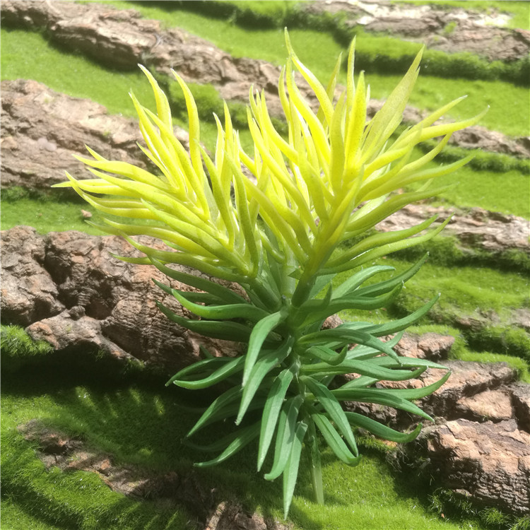 仿真多肉植物盆栽绿植拼盘装饰盆景塑胶花相框DIY素材批发