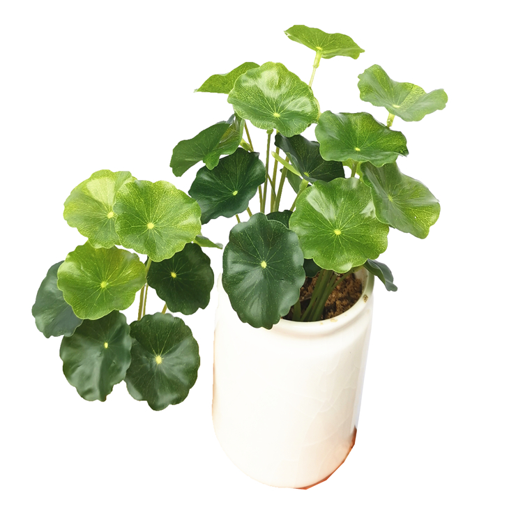 仿真绿植植物装饰盆栽仿真小荷叶***叶铜钱草花盆仿真荷叶