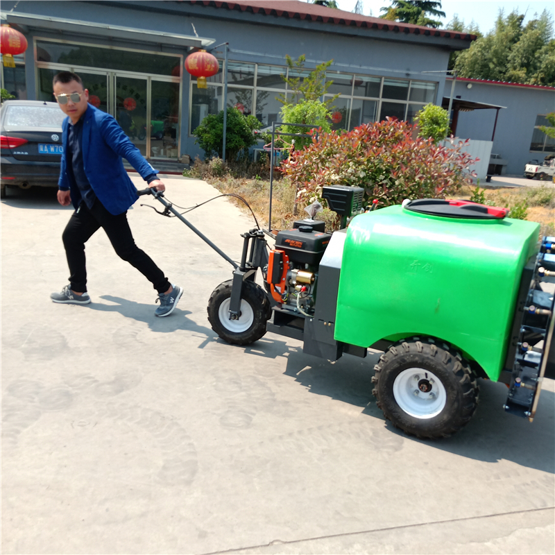 邗江手领式消毒打药机 汽油动力果园喷药机