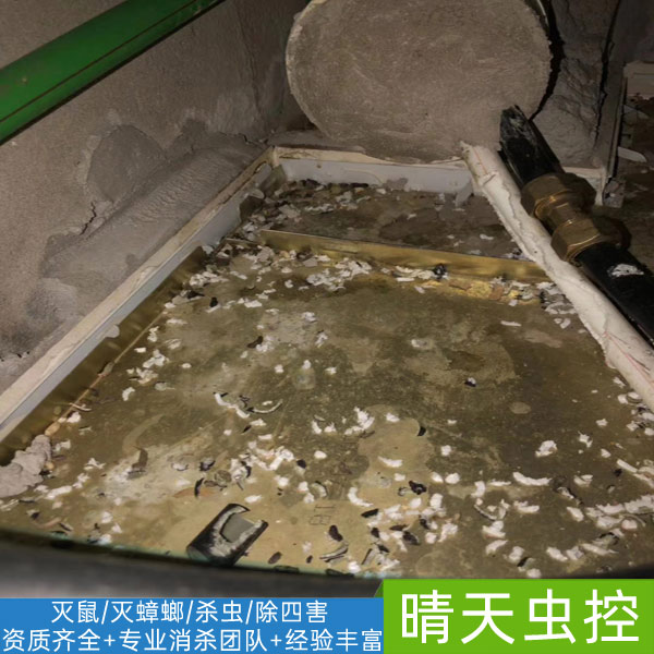 合肥***门杀虫服务-「晴天虫控」资质齐全