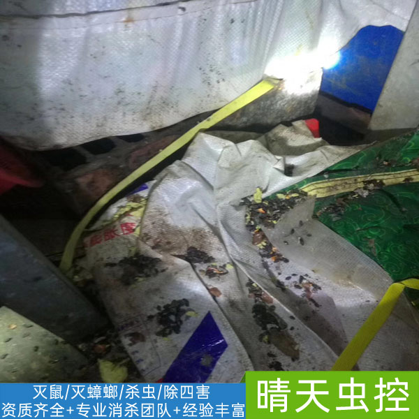 合肥***灭白蚁-「晴天虫控」价格透明