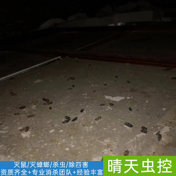 合肥***除虫公司-「晴天虫控」绿色环保