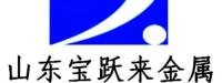 山东宝跃来金属材料有限公司