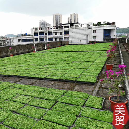 台州美贸园林屋顶绿化种植盒厂家批发