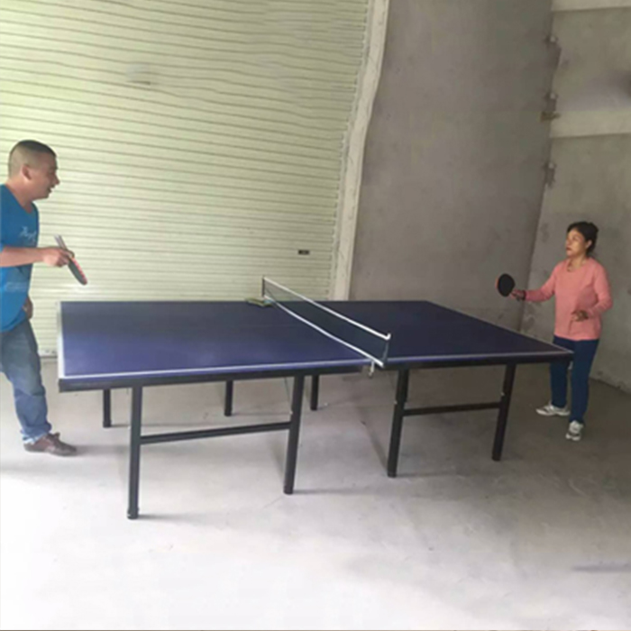 广西百色乒乓球台批发 家用乒乓球桌多少钱一张