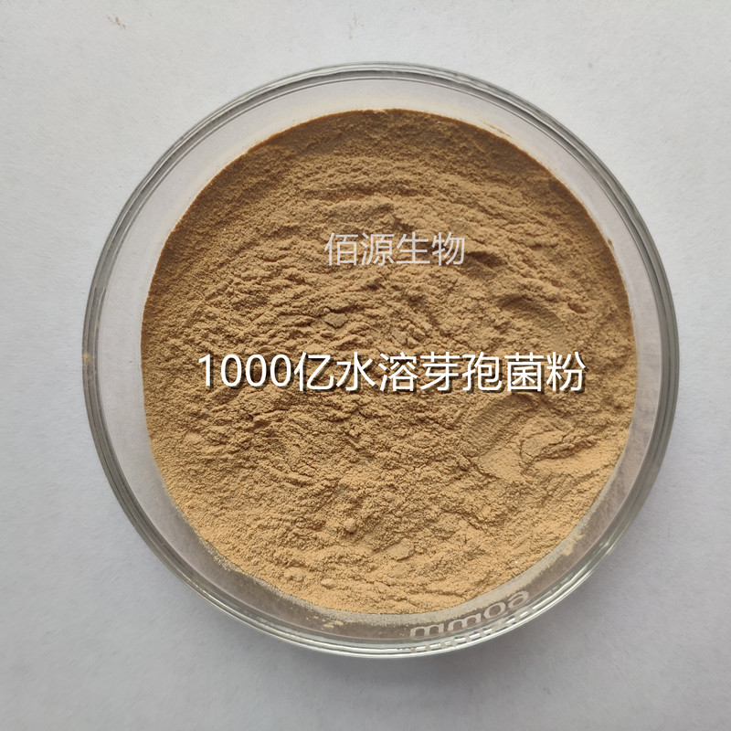 1000亿全水溶枯草芽孢杆菌 可喷施滴灌灌根