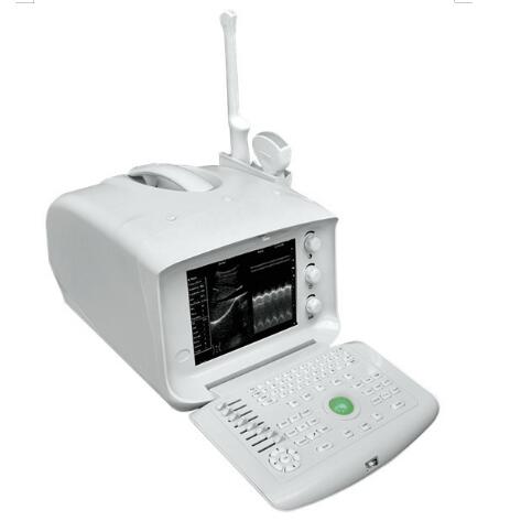 51353 型 便携式超声