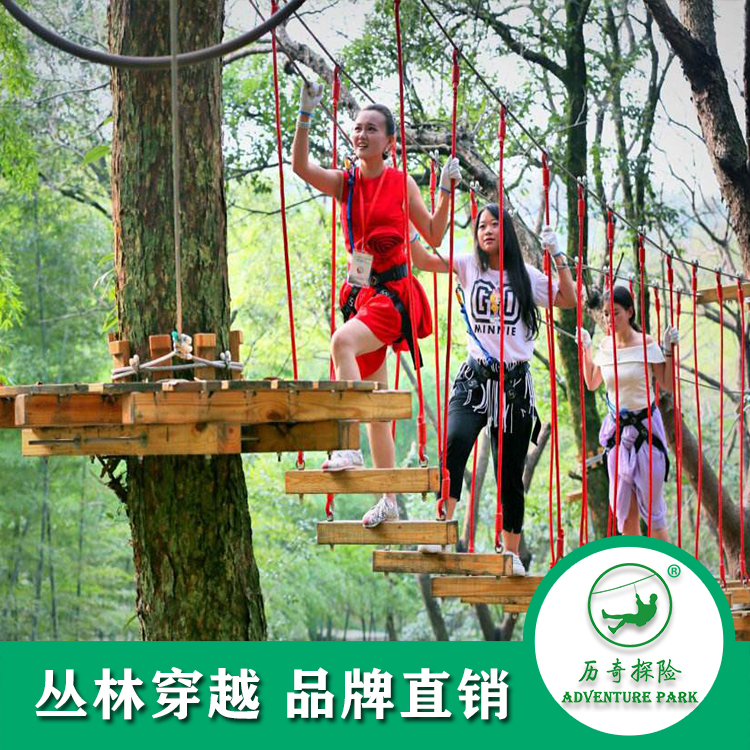 丛林飞越 丛林拓展 户外游乐设备 历奇探险品牌厂家定制