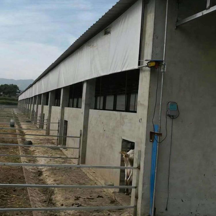 畜牧养殖场卷帘布定做，猪舍卷帘布价格，猪栏卷帘布生产厂家