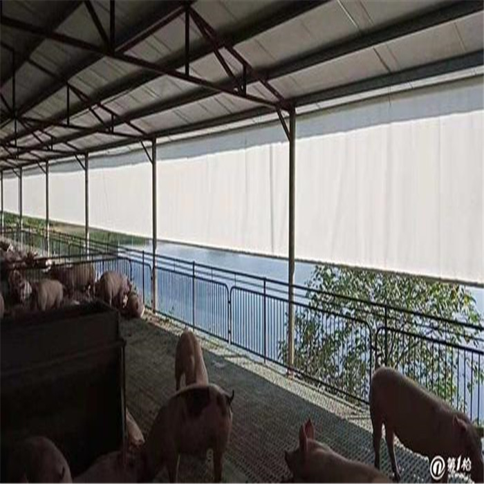 猪场卷帘布 畜牧卷帘布 养殖卷帘布 定做帆布卷帘布