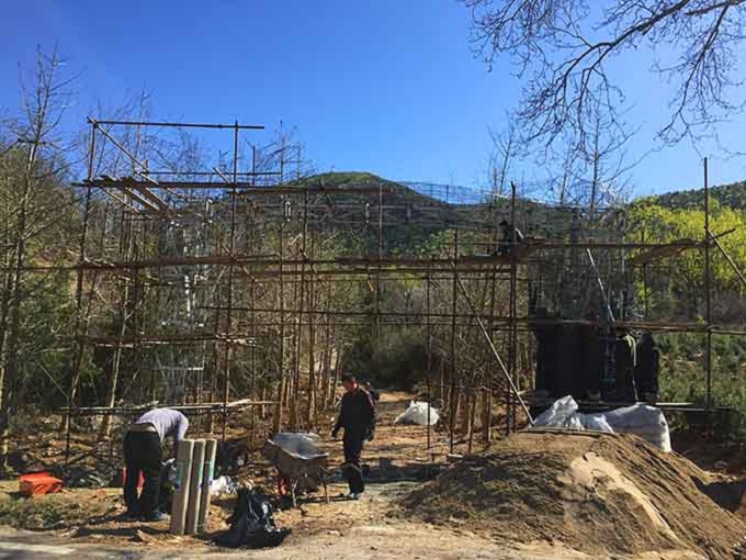 唐山迁安假树|假树承包|假树厂家***