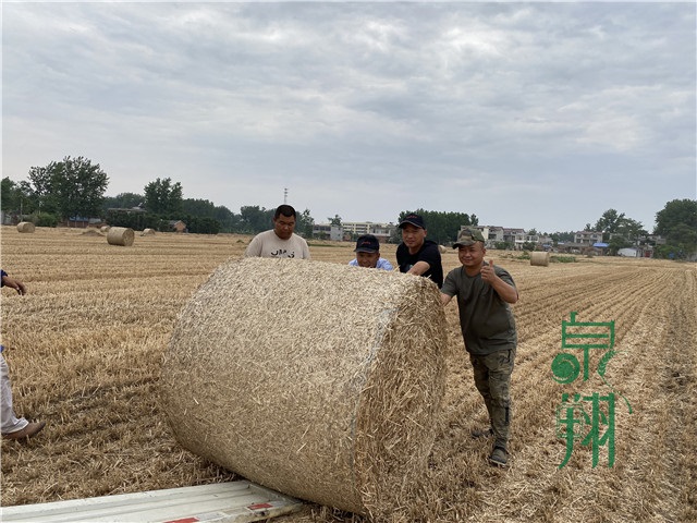 泉翔绳业捆草网N3W0125PP耐低温防晒