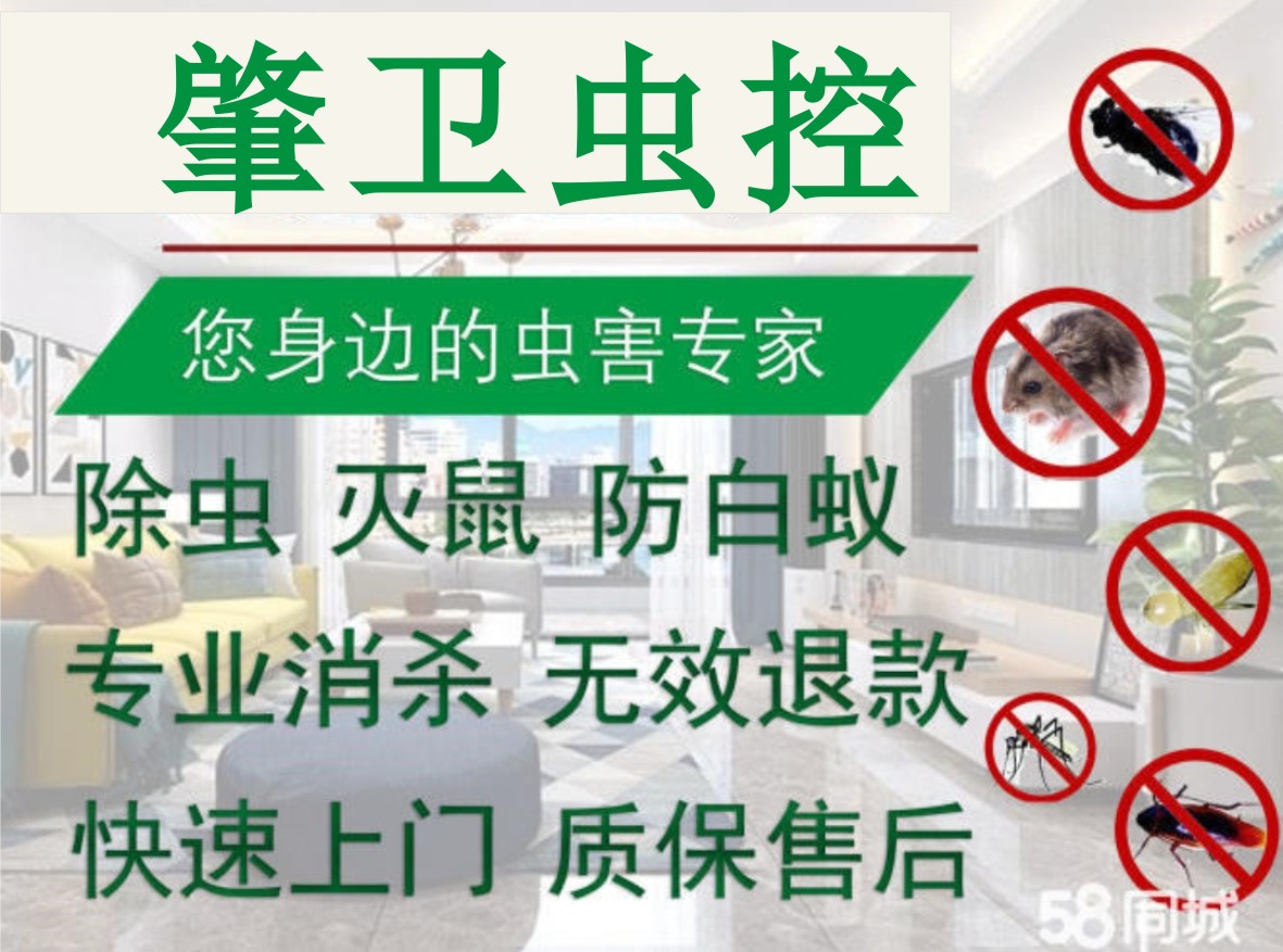 肇卫有害生物防治有限公司肇庆除虫灭鼠白蚁防治