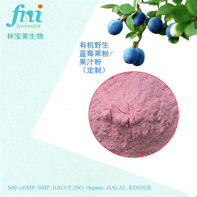 林宝莱 有机蓝莓果汁粉（定制）蓝莓果汁粉