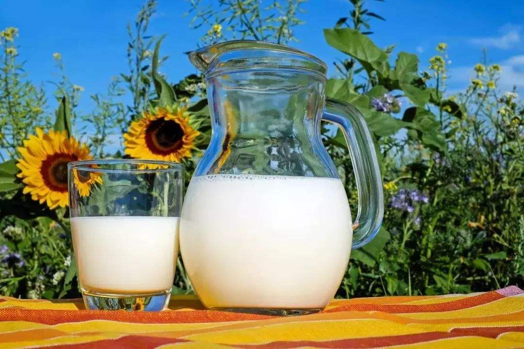 新西兰乳制品进口报关单证资料 进口新西兰乳制品