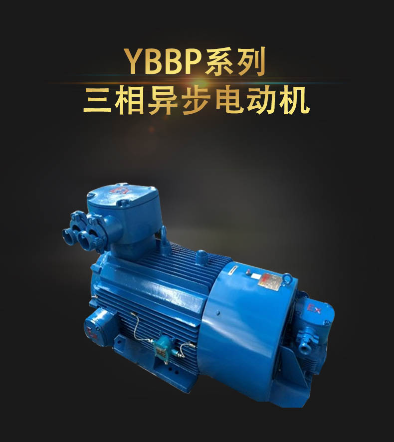 YBBP系列隔爆型变频调速低压大功率三相异步电动机